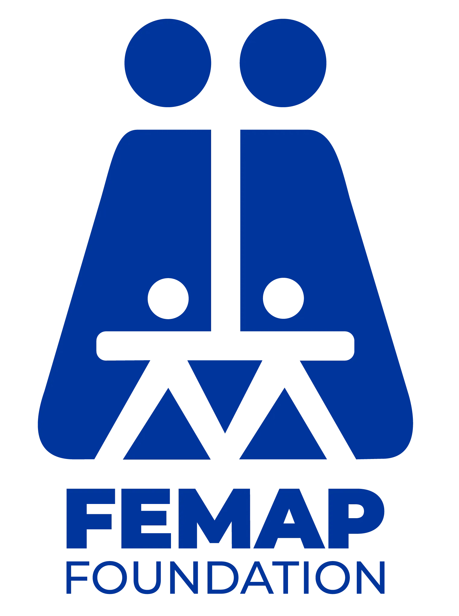 FEMAP Foundation Logo