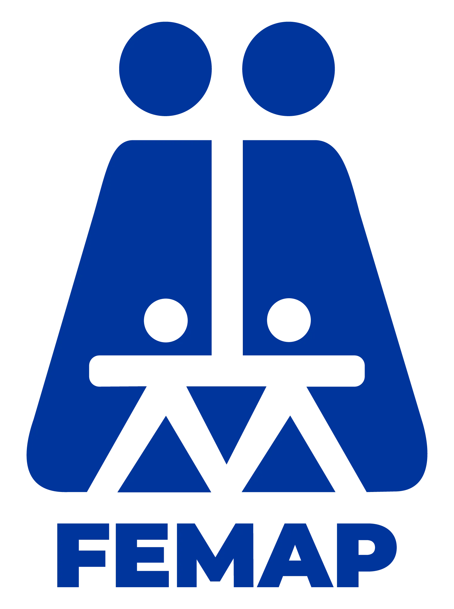 FEMAP Mexico Logo