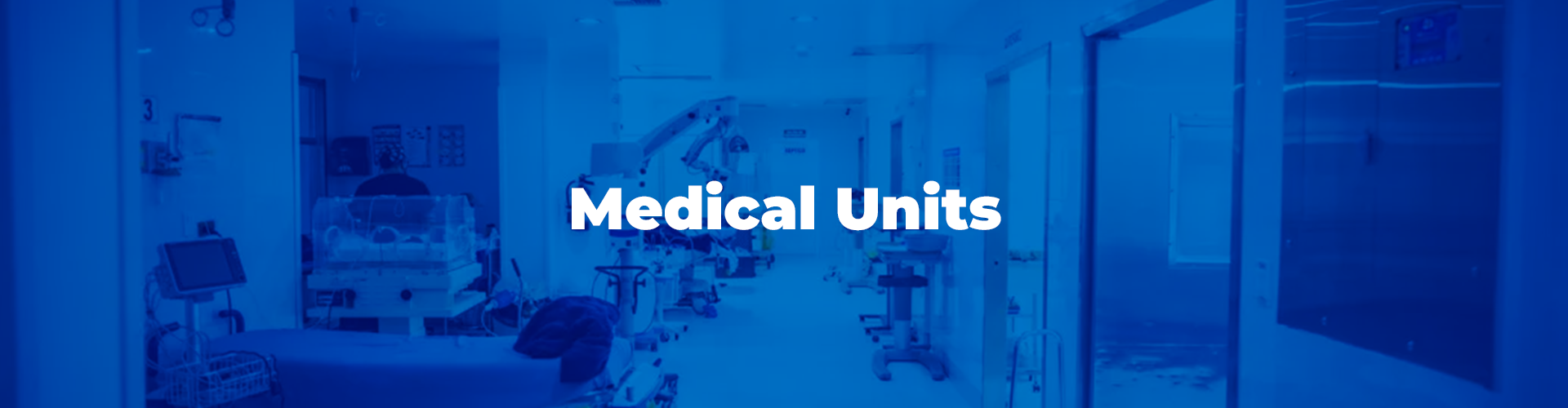 FEMAP Medical Units